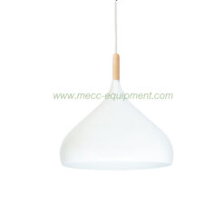 MECC Decorative Pendant Loft Style 1005-WH White (โคมไฟเพดานสำหรับตกแต่งสไตล์ลอฟท์ รุ่น 1005-WH สีขาว)