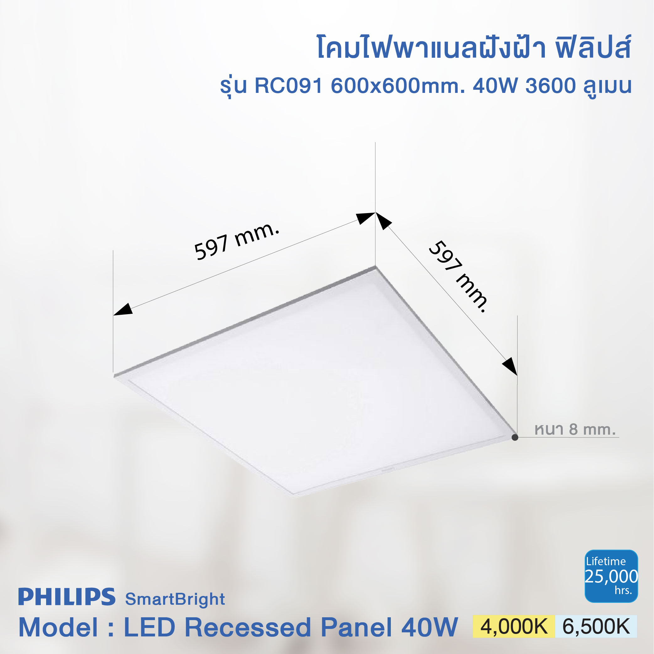 Philips RC091-02