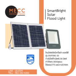 Philips Lighting Essential SmartBright Solar Flood Light BVP080-30